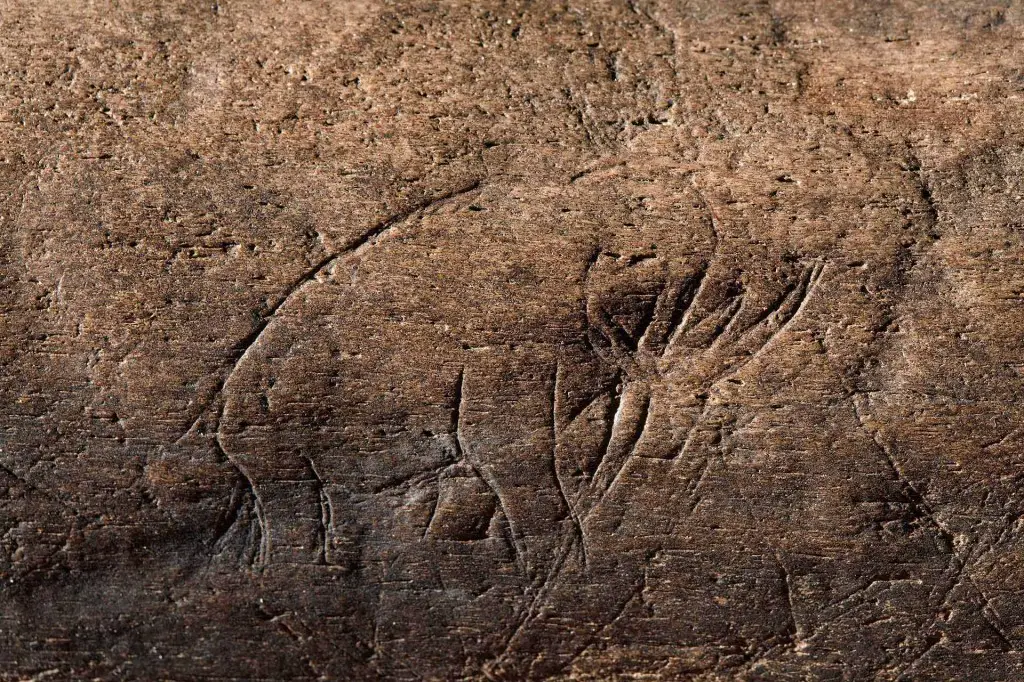 Mastodon bone inscribed with image of a mastodon shown by amateur collector James Kennedy of Vero Beach, Florida, NOT A SMITHSONIAN SPECIMEN.