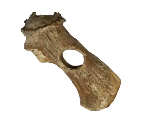 axe1