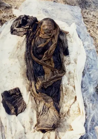 16th-Century Korean Mummy : Alphagalileo