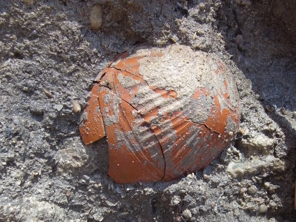 An imported bowl characteristic of the Hellenistic period. The bowl was found in a layer of harbor sludge. This layer contained thousands of intact pottery vessels, potsherds, etc.