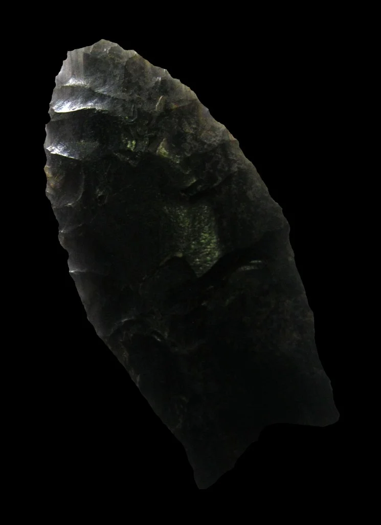 Clovis Point found in Guatemala