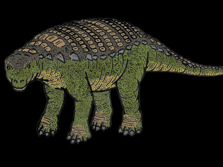 fossilised nodosaur