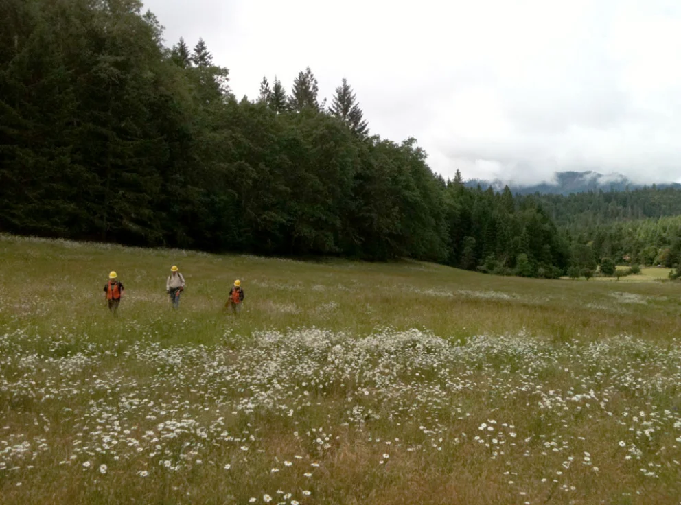 Archaeological Survey, Grave Creek Hills: Archaeological survey took place over three years, until the battlefield locations were finally identified in September, 2012. The crew included staff and students of the Southern Oregon University Laboratory of Anthropology as well as community and Tribal volunteers.