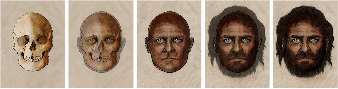 La Braña 1, the name used to baptize a 7,000-year-old individual from the Mesolithic Period, had blue eyes and dark skin. Credit: PELOPANTON / CSIC