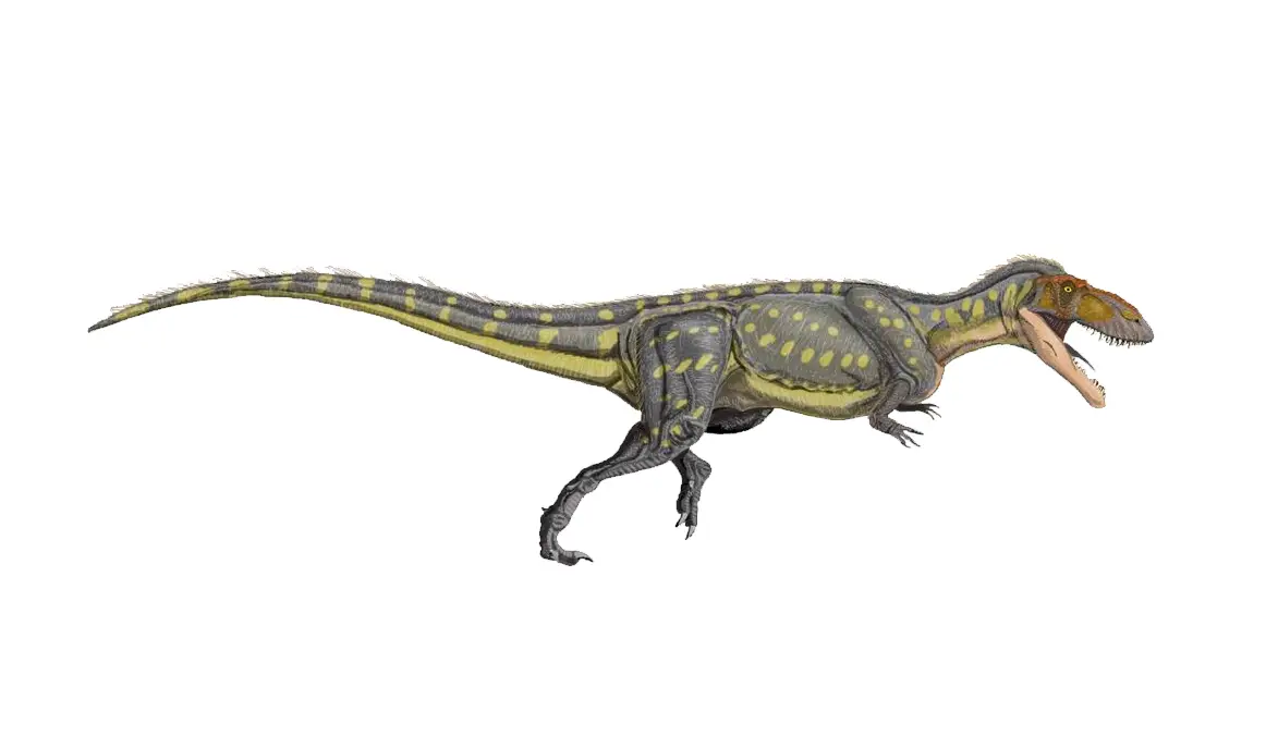 biggest predator dinosaur