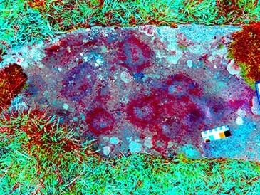 D-stretch image of the central section of the stone showing clearly the cupmarked surface Dr G. H. Nash