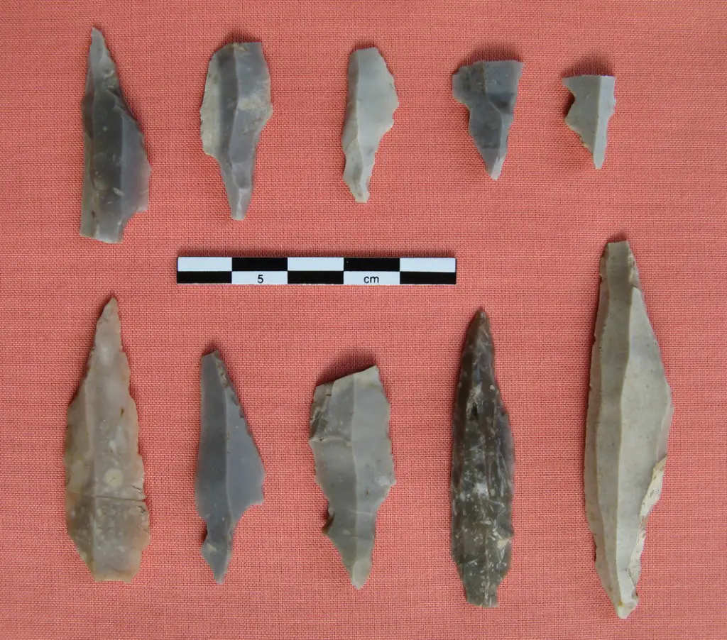 Some of the flint artefacts recovered at Howburn - copyright Alan Saville