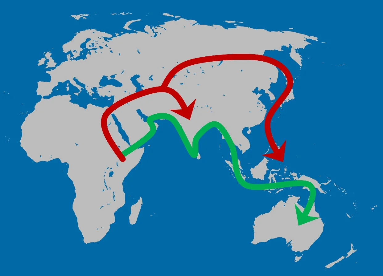 The Out-of-Africa model that best fits both the genetic and cranial shape data. A first migration along the Indian Ocean rim occurred as early as 130 thousand years ago (green arrow) and was followed by a second, more recent migration wave into Eurasia (red arrow). Figure: Katerina Harvati/University of Tübingen and Senckenberg Center for Human Evolution and Palaeoenvironment