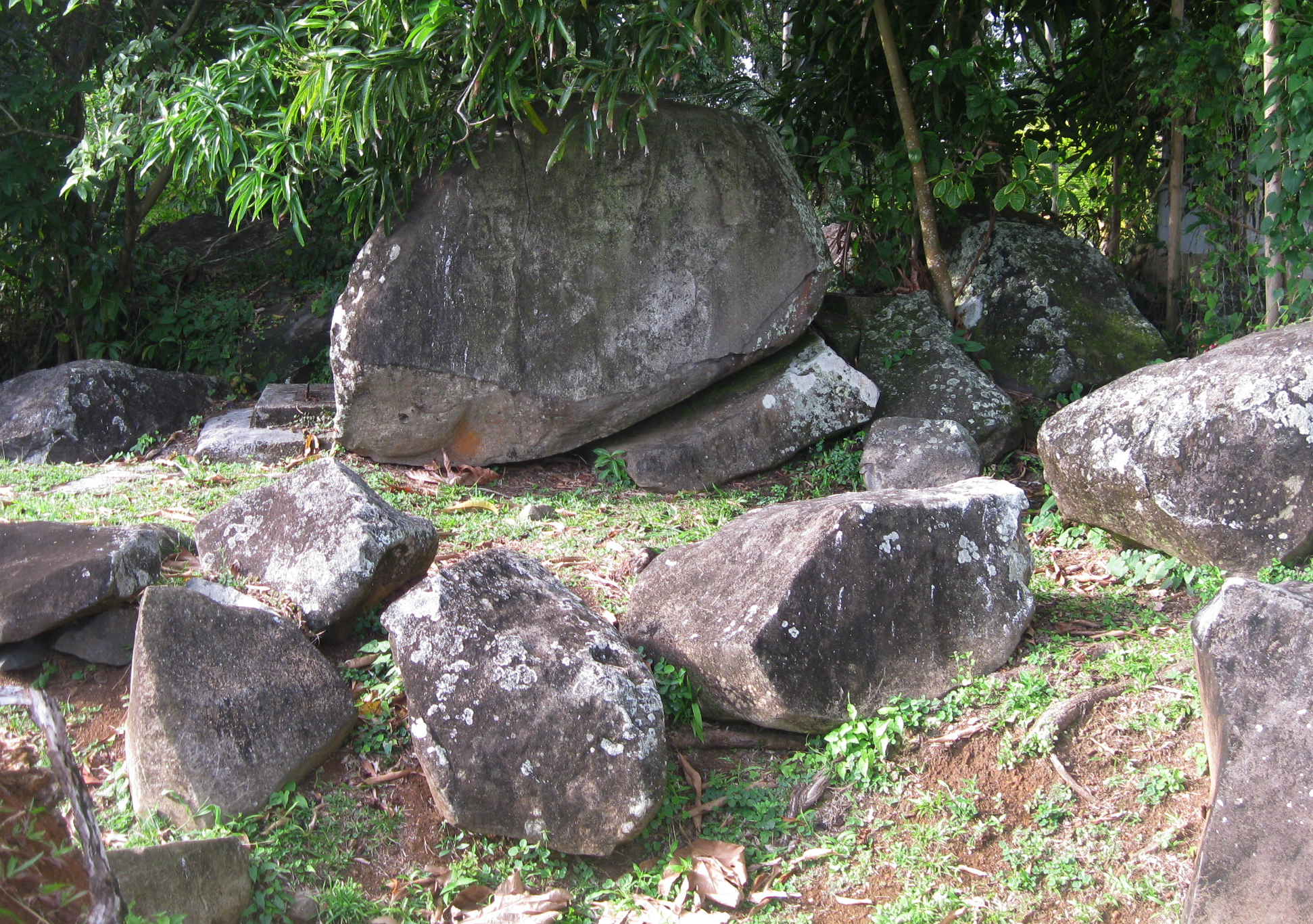 The engraved rocks of Montravail. In the center, the main rock. Photo: Sébastien Perrot-Minnot.