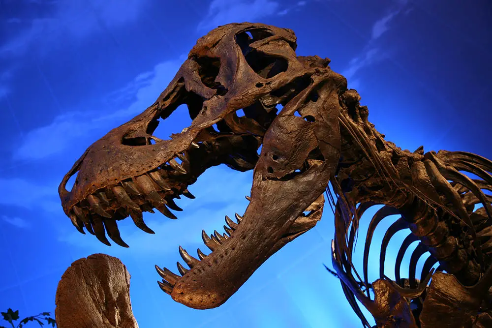 Dinosaur asteroid's trajectory was 'perfect storm