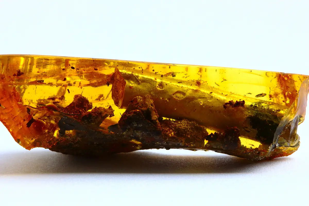 One secret of ancient amber revealed HeritageDaily Heritage