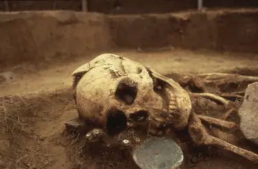 Burial 48 skull and grave goods in situ in the grave pit. Note the broken projectile point lying flat on the floor of the left orbit, with its base oriented more or less anteriorly and its (broken) tip oriented more or less posteriorly, or into the eye. Credit : Canadian Light Source