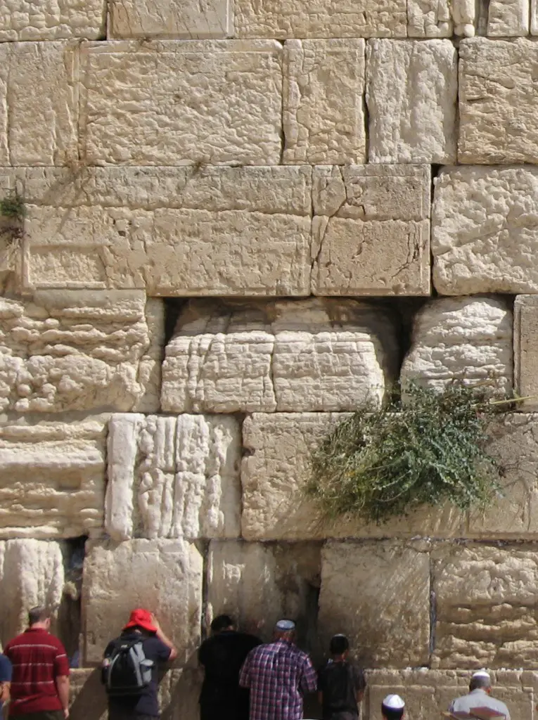 Part of the Western Wall showing highly eroded blocks alongside well preserved stones. (Photo: Dr. Simon Emmanuel, Hebrew University)