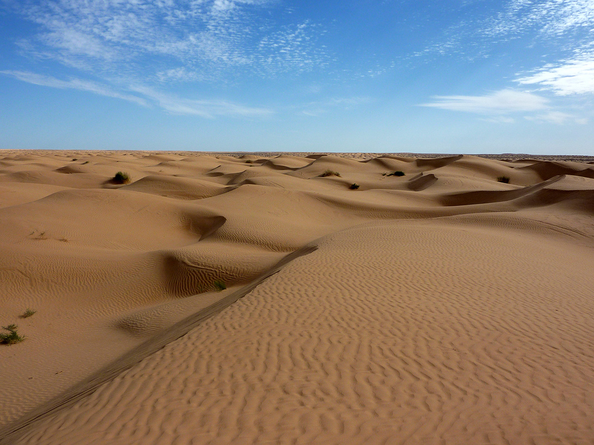 The Age Of Sahara Desert The Age Of Sahara Desert