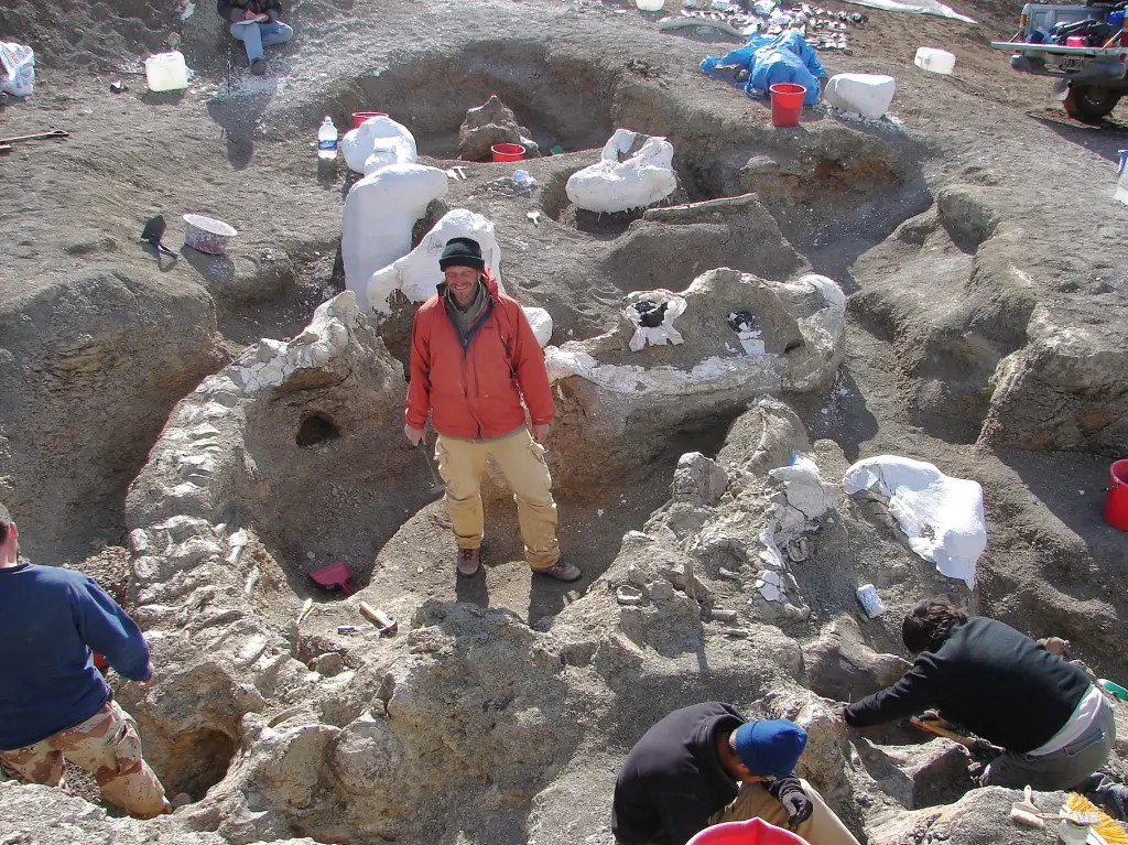 Kenneth Lacovara surrounded by the skeleton of Dreadnoughtus schrani. Kenneth Lacovara