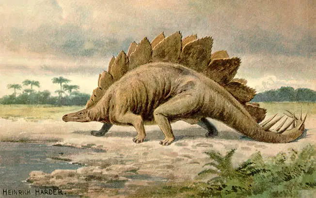 Stegosaur: Wikimedia