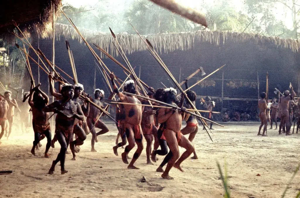 Men from one Yanomamo village in the Amazon 'dance' in a neighboring village to show off their military prowess, weaponry and group cohesion after they were invited to a feast to form a coalition between the two communities. This photo dates from the late 1960s. A new study from the University of Utah and University of Missouri shows how the Yanomamo, whom once gained status by killing, formed 'bands of brothers-in-law' alliances between villages rather than fighting in more closely related 'bands of brothers' from a single village. Credit: Napoleon Chagnon