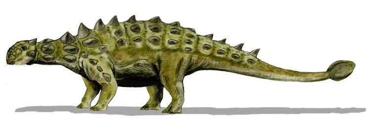 Ankylosaur: WikiPedia