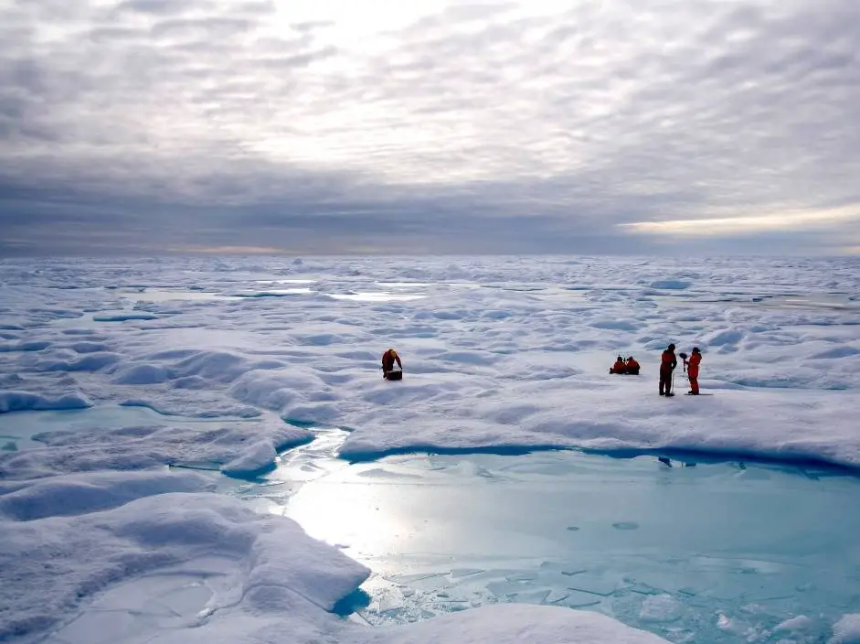 Field Work in the Arctic sea ice. Photo: Thomas A. Brown and Simon T. Belt