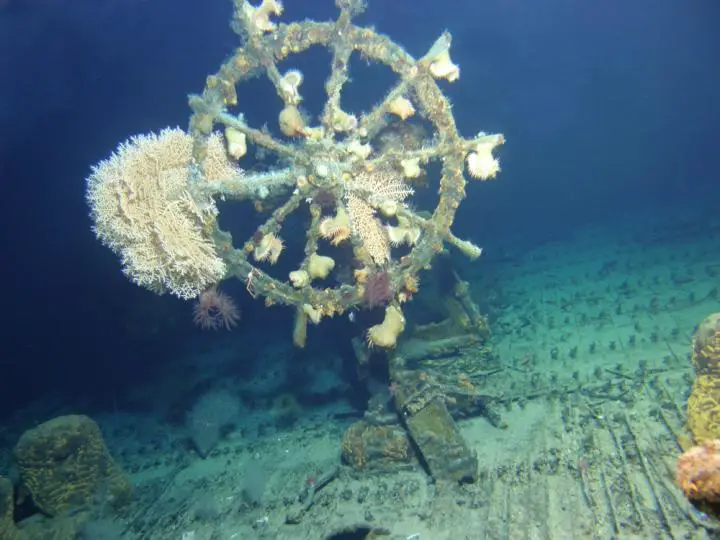 The sunken USS Kailua is surprisingly intact, including the ship's wheel, for a vessel that was sunk with a torpedo.