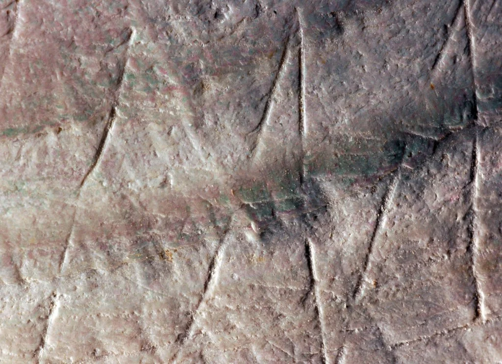 Detail of the engraving on fossil Pseudodon shell (DUB1006-fL) from Trinil (credit: Wim Lustenhouwer, VU University Amsterdam).