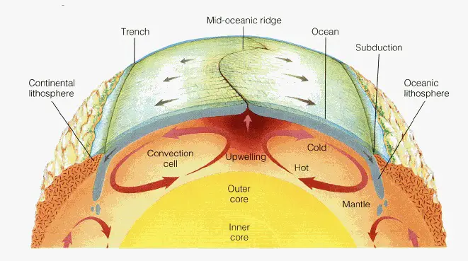 This plate tectonics diagram from the Byrd Polar and Climate Research Center shows how mantle circulation delivers new rock to the crust via mid-ocean ridges. New research suggests that mantle circulation also delivers water to the oceans.