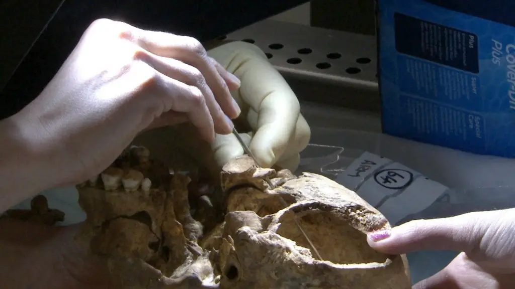 New film footage reveals the potential 'killer blow' to King Richard III. Credit : University of Leicester