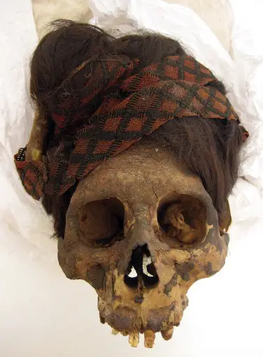 Cranium with headdress from burial 24 (PARAC-0070, ACL-4826) from the Paracas Necropolis of Wari Kayan illustrating exceptional preservation, natural mummification, and textile headdress (Photograph by Elsa Tomasto Cagigao).