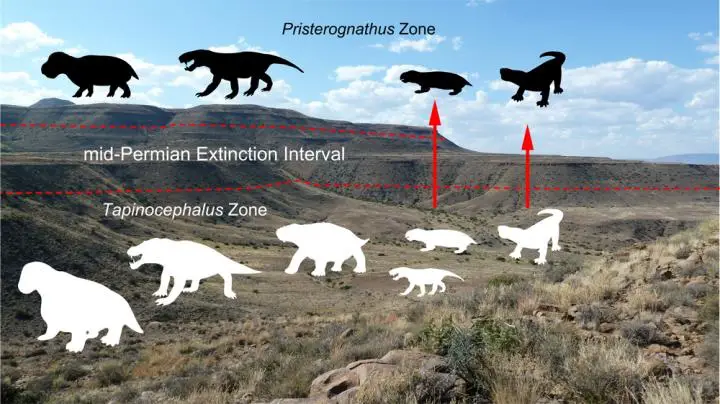 This is an illustration of the Guadalupian extinction. Credit:Wits University