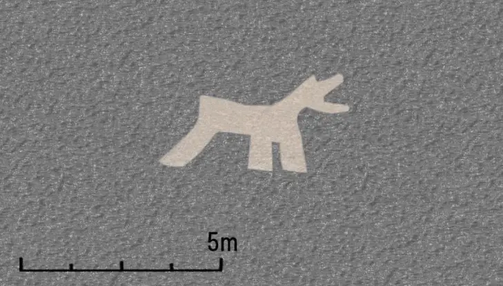 Newly found geoglyphs of animals believed to depict llamas