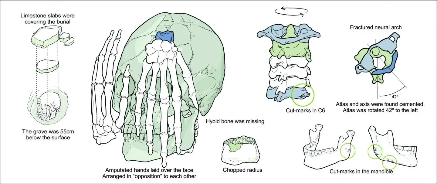 This is a schematic representation of Burial 26 from Lapa do Santo. CREDIT : Drawing by Gil Tokyo.