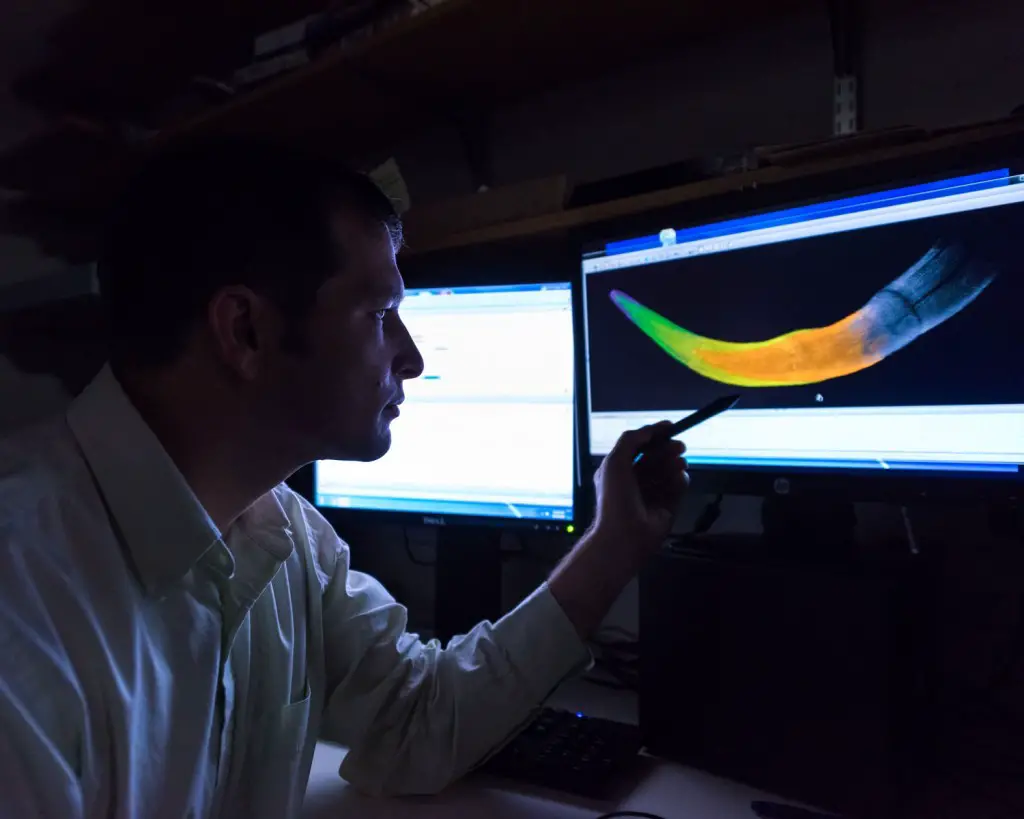 U-M doctoral student Michael Cherney views a colorized CT scan image of a juvenile woolly mammoth tusk. The various colors denote different years of growth. Credit : University of Michigan