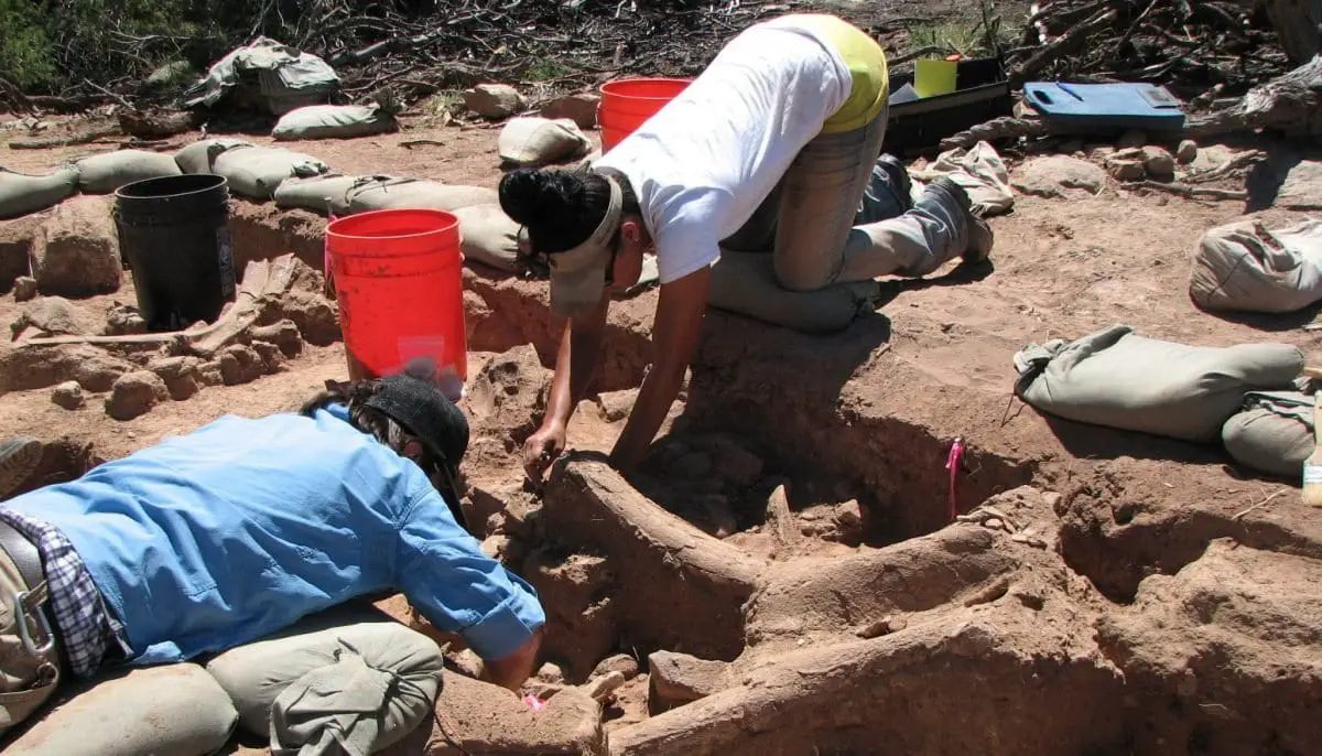 an afternoon walk and a mammoth find – second clovis people kill site found in new mexico