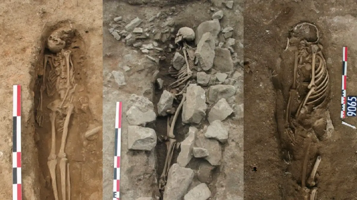 evidence of early medieval muslim graves found in france