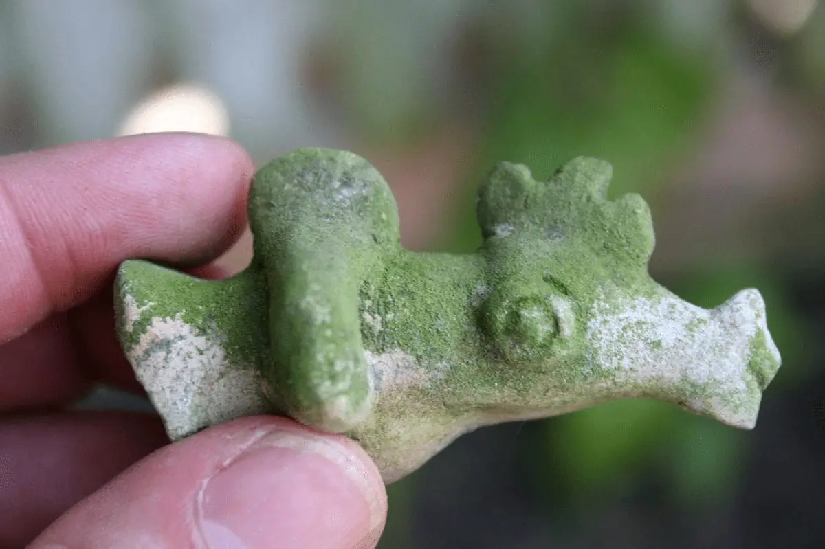 water storage made prehistoric settlement expansion possible in amazonia