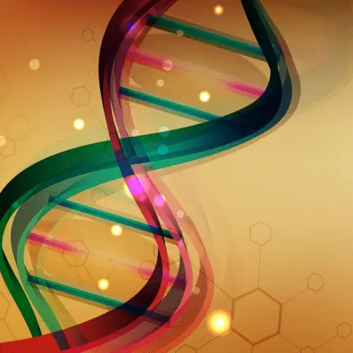 Researchers discover how rope was made 40,000 years ago - HeritageDaily ...