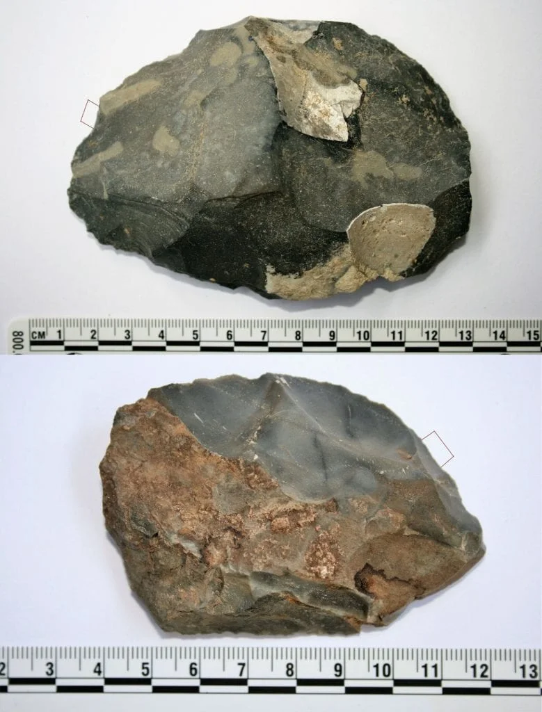 a research team working in jordan has discovered the residual remains of butchered animals on stone tools used 250,000 years ago Credit : UNIVERSITY OF VICTORIA