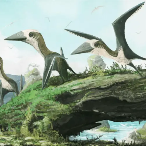 How did prehistoric humans occupy the Tibetan Plateau? - HeritageDaily ...