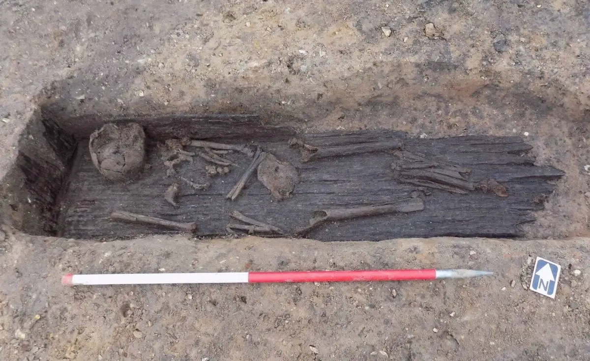 anglo-saxon cemetery discovered in norfolk A plank lined grave with human remains at Grea…rgh (c) MOLA