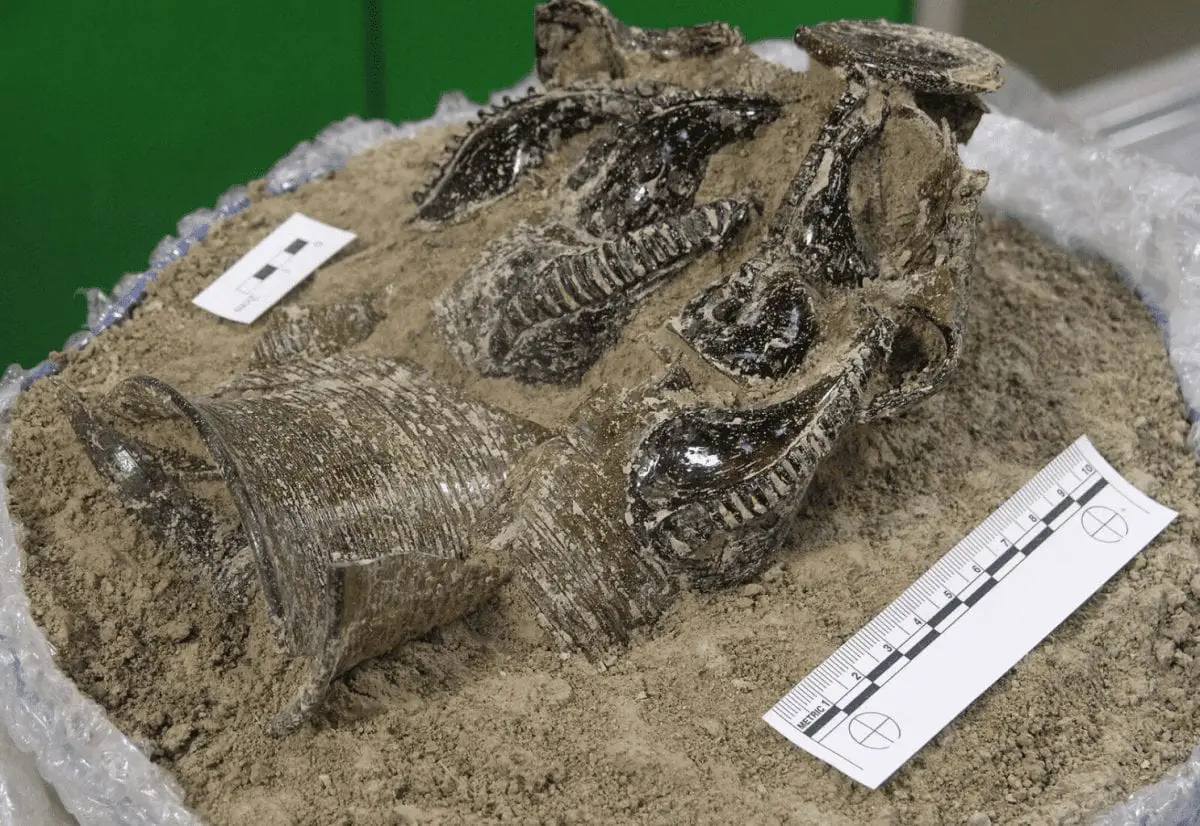 6th century settlement and anglo-saxon jewellery unearthed