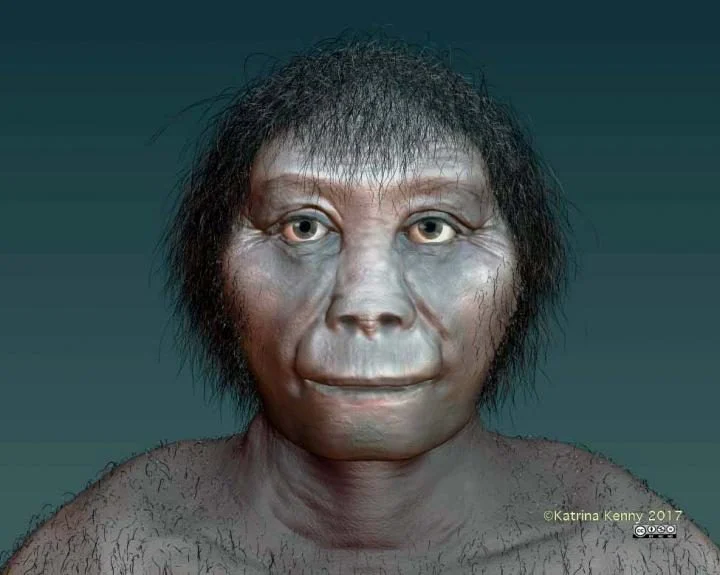 origins of indonesian hobbits finally revealed