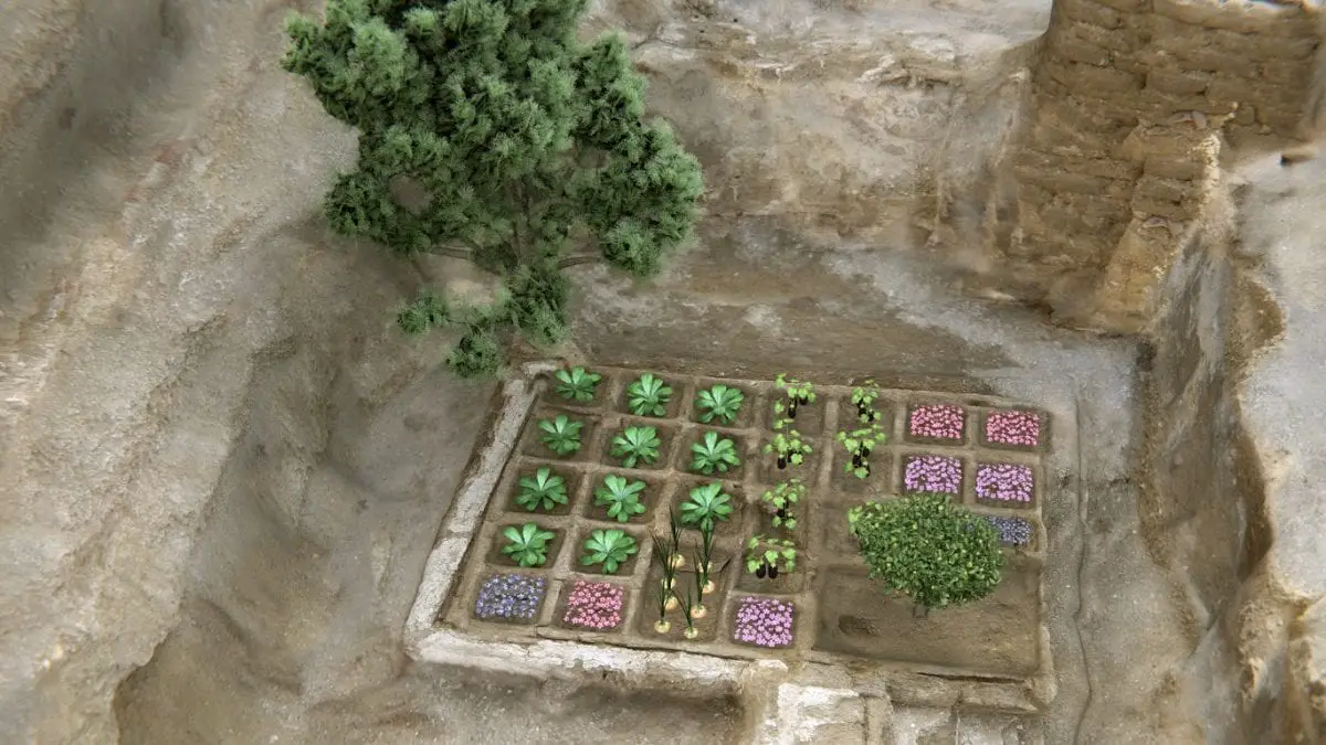 4,000-year-old funerary garden discovered on the dra abu el-naga hill in luxor