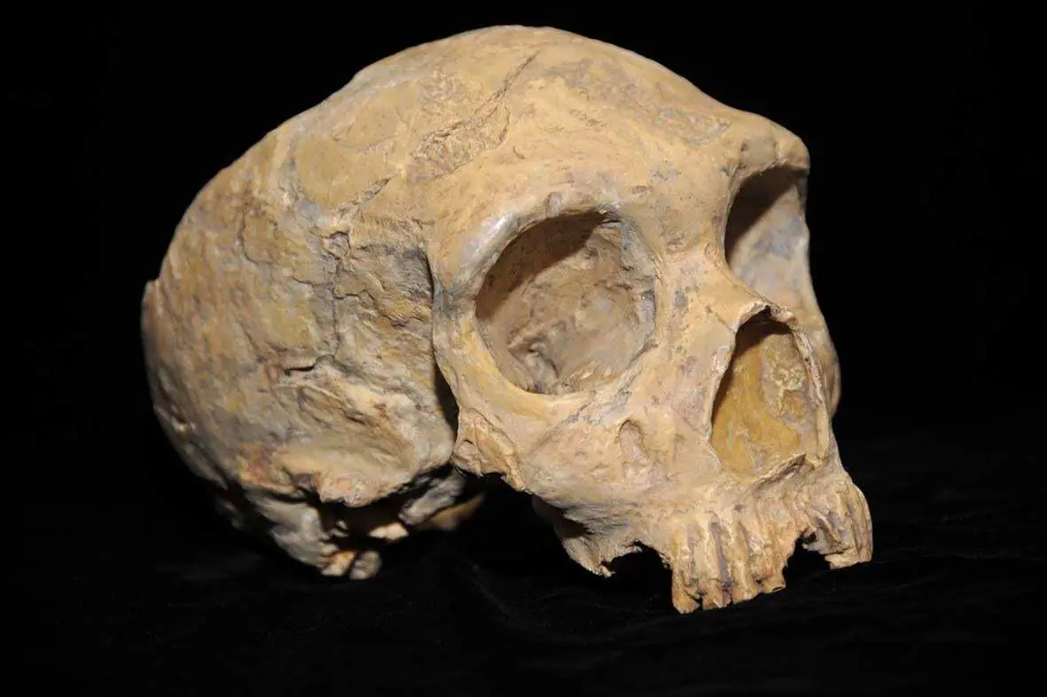 Is there scientific evidence of prehistoric man (Neanderthal or