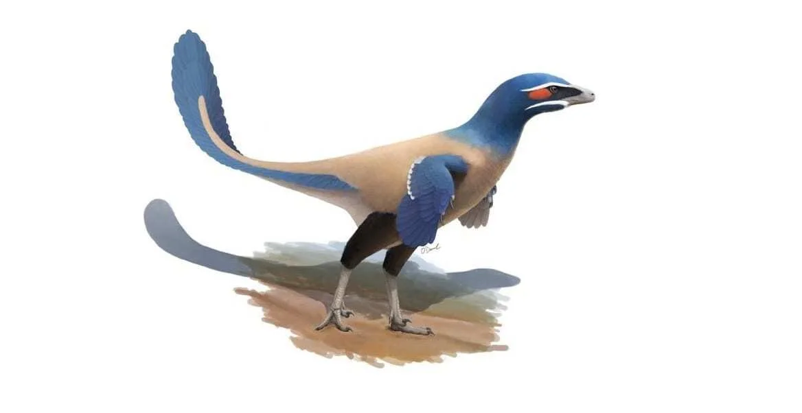 scientists name new species of dinosaur after canadian icon
