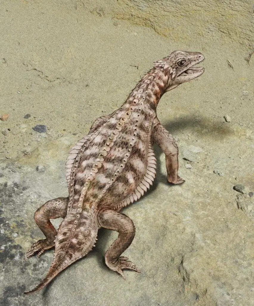 rare, exceptionally preserved fossil reveals lifestyle of ancient armor-plated reptile