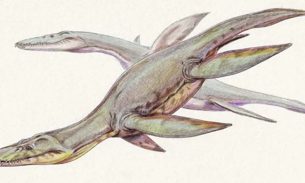 dinosaur that swims with long neck