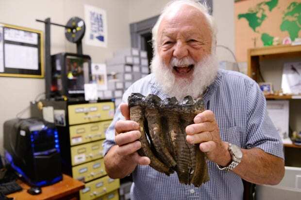 vcu lab 3-d scans mastodon fossils