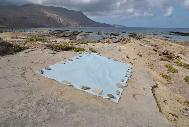 newly discovered 6m-year-old cretan footprints stolen