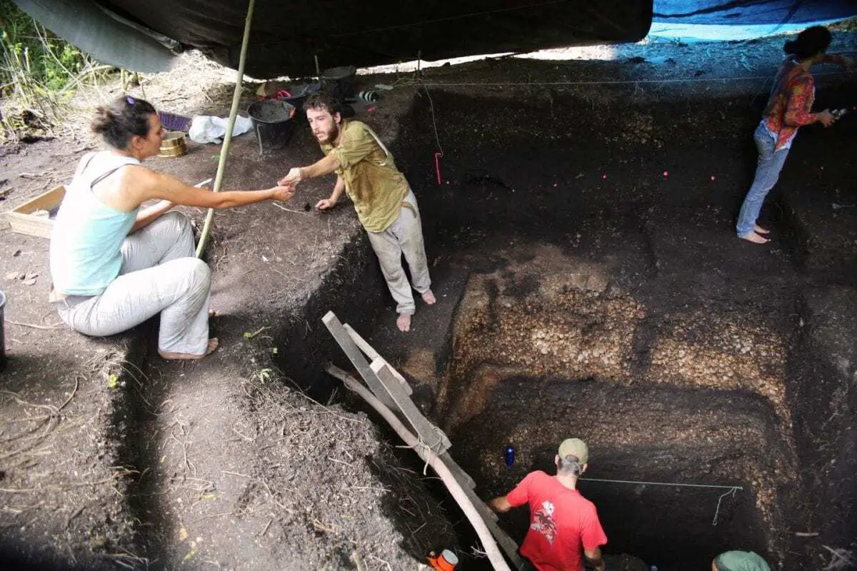amazon farmers discovered the secret of domesticating wild rice 4,000 years ago