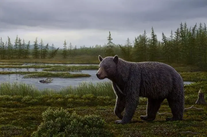 primitive fossil bear with a sweet tooth